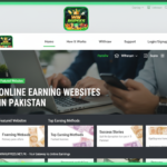 Online Earning Websites in Pakistan